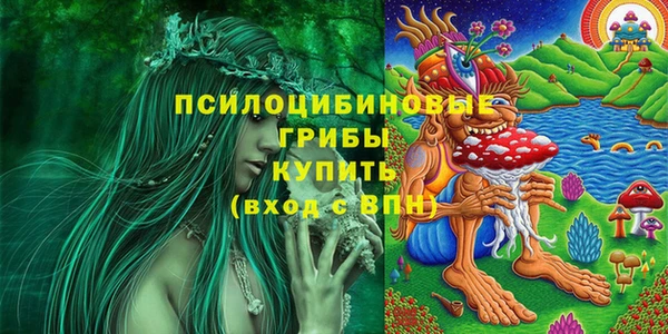 прущие крисы Белоозёрский