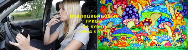 прущие крисы Белоозёрский