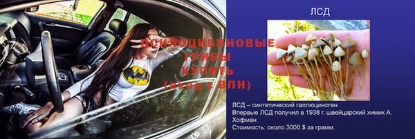 прущая мука Белокуриха