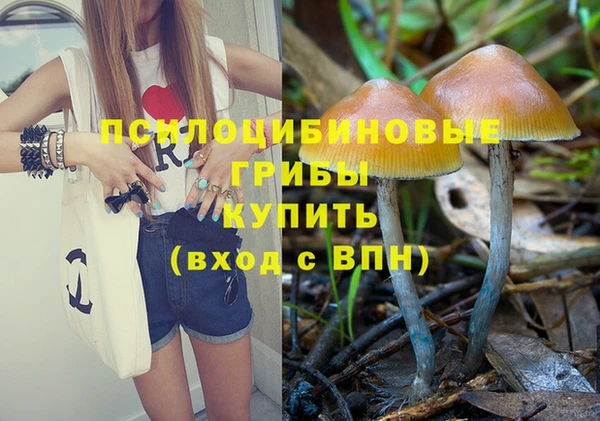 прущие крисы Белоозёрский